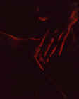 7z7167.jpg (22294 octets)