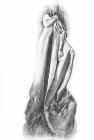 1Z8205.jpg (36146 octets)