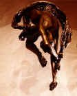 9Z8845.jpg (62287 octets)