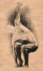 2Z8276.jpg (45405 octets)
