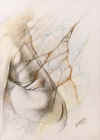 1Z8197.jpg (16770 octets)