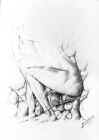 1Z8267.jpg (27944 octets)