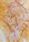 3z8019.jpg (90229 octets)