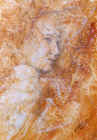 3z8039.jpg (93431 octets)