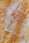 3z8049.jpg (80606 octets)