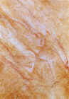 3z8079.jpg (84266 octets)