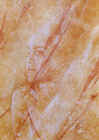 3z8109.jpg (78247 octets)