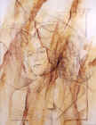 3Z9230.jpg (75533 octets)