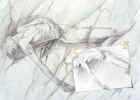 3Z9081.jpg (83802 octets)