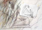 3Z9091.jpg (99583 octets)