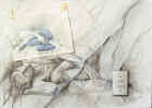 3z9141.jpg (88190 octets)