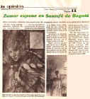 La opini�n.jpg (242121 octets)